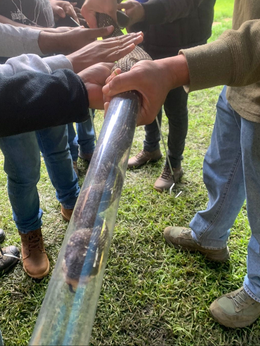 Cursos